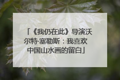 《我仍在此》导演沃尔特·塞勒斯：我喜欢中国山水画的留白