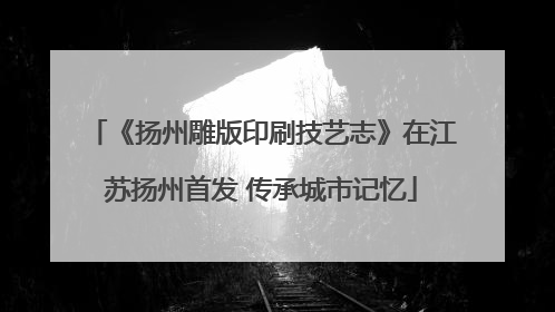 《扬州雕版印刷技艺志》在江苏扬州首发 传承城市记忆