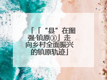 「“县”在图强·镇原③」走向乡村全面振兴的镇原轨迹