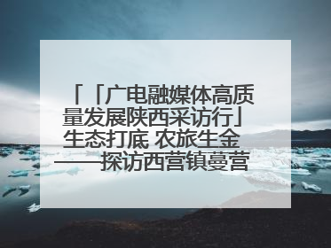「广电融媒体高质量发展陕西采访行」生态打底 农旅生金——探访西营镇蔓营村省级旅游示范村的振兴密码