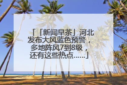 「新闻早茶」河北发布大风蓝色预警，多地阵风7到8级，还有这些热点……