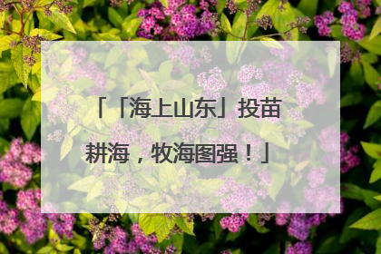 「海上山东」投苗耕海，牧海图强！
