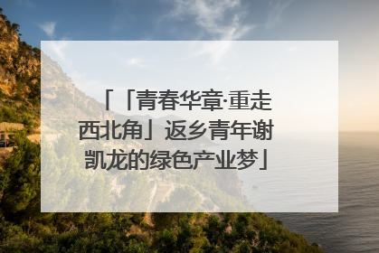 「青春华章·重走西北角」返乡青年谢凯龙的绿色产业梦
