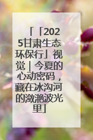 「2025甘肃生态环保行」视觉｜今夏的心动密码，藏在冰沟河的潋滟波光里