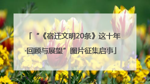 “《宿迁文明20条》这十年·回顾与展望”图片征集启事