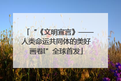 “《文明宣言》——人类命运共同体的美好画卷I”全球首发