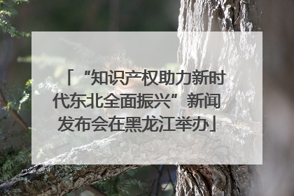 “知识产权助力新时代东北全面振兴”新闻发布会在黑龙江举办