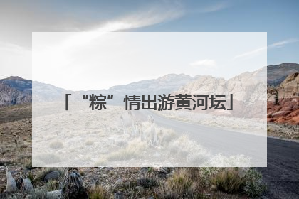 “粽”情出游黄河坛