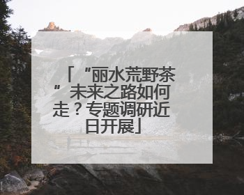 “丽水荒野茶”未来之路如何走？专题调研近日开展