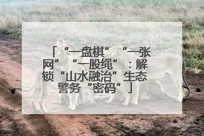 “一盘棋”“一张网”“一股绳”：解锁“山水融治”生态警务“密码”