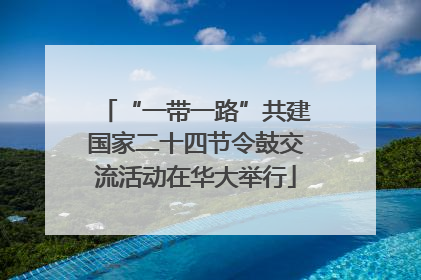 “一带一路”共建国家二十四节令鼓交流活动在华大举行