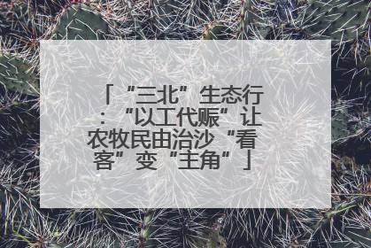 “三北”生态行：“以工代赈”让农牧民由治沙“看客”变“主角”