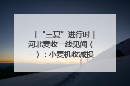“三夏”进行时｜河北麦收一线见闻（一）：小麦机收减损“竞技” 农机高手麦田“过招”