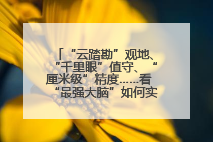 “云踏勘”观地、“千里眼”值守、“厘米级”精度……看“最强大脑”如何实现智慧治理