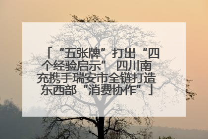 “五张牌”打出“四个经验启示” 四川南充携手瑞安市全链打造东西部“消费协作”