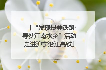 “发现最美铁路·寻梦江南水乡”活动走进沪宁沿江高铁