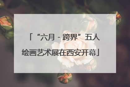“六月 - 跨界”五人绘画艺术展在西安开幕
