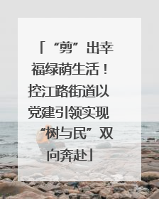 “剪”出幸福绿荫生活！控江路街道以党建引领实现“树与民”双向奔赴