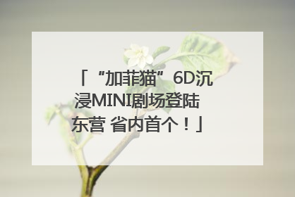 “加菲猫”6D沉浸MINI剧场登陆东营 省内首个！
