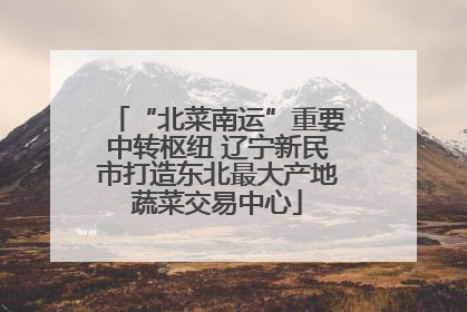 “北菜南运”重要中转枢纽 辽宁新民市打造东北最大产地蔬菜交易中心