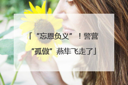 “忘恩负义”！警营“孤傲”燕隼飞走了