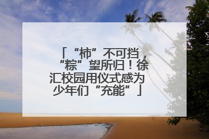 “柿”不可挡，“粽”望所归！徐汇校园用仪式感为少年们“充能”
