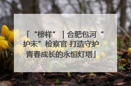 “榜样”｜合肥包河“护未”检察官 打造守护青春成长的永恒灯塔