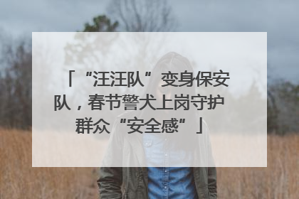“汪汪队”变身保安队，春节警犬上岗守护群众“安全感”
