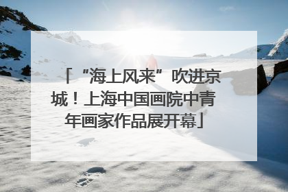 “海上风来”吹进京城！上海中国画院中青年画家作品展开幕