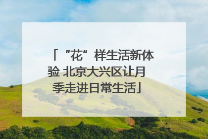 “花”样生活新体验 北京大兴区让月季走进日常生活
