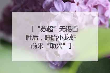 “苏超”无锡首胜后，盱眙小龙虾前来“助兴”