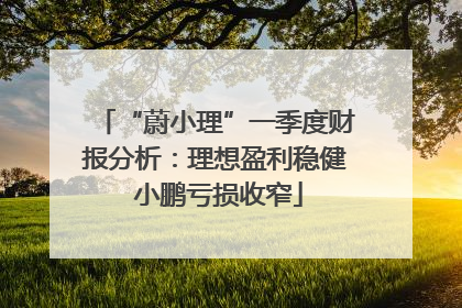 “蔚小理”一季度财报分析：理想盈利稳健 小鹏亏损收窄