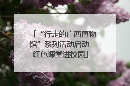“行走的广西博物馆”系列活动启动 红色课堂进校园