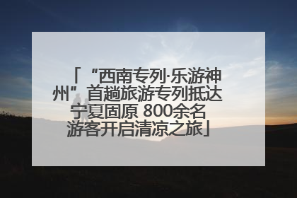 “西南专列·乐游神州”首趟旅游专列抵达宁夏固原 800余名游客开启清凉之旅