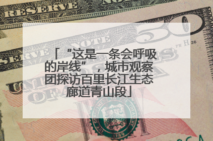 “这是一条会呼吸的岸线”，城市观察团探访百里长江生态廊道青山段