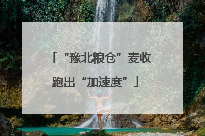 “豫北粮仓”麦收跑出“加速度”