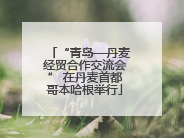 “青岛—丹麦经贸合作交流会” 在丹麦首都哥本哈根举行
