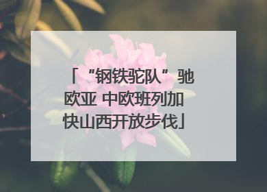 “钢铁驼队”驰欧亚 中欧班列加快山西开放步伐