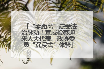 “零距离”感受法治脉动！宣威检察迎来人大代表、政协委员“沉浸式”体验