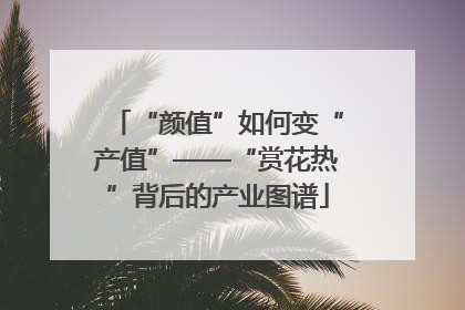 “颜值”如何变“产值”——“赏花热”背后的产业图谱