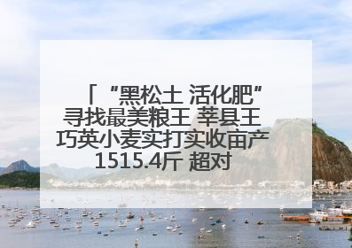 “黑松土 活化肥”寻找最美粮王 莘县王巧英小麦实打实收亩产1515.4斤 超对照田144斤！