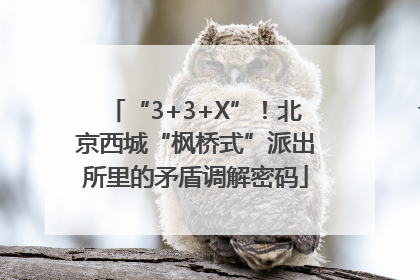 “3+3+X”！北京西城“枫桥式”派出所里的矛盾调解密码