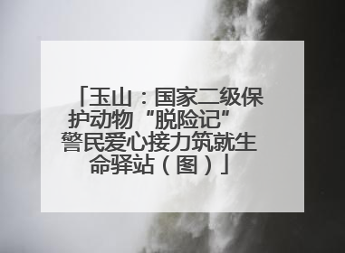 玉山：国家二级保护动物“脱险记” 警民爱心接力筑就生命驿站（图）