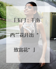 玉门：千亩西兰花开出“致富花”