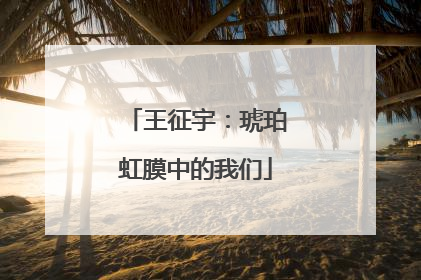 王征宇：琥珀虹膜中的我们