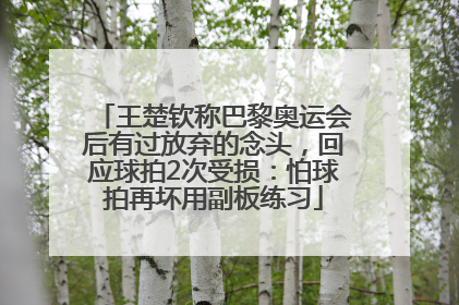 王楚钦称巴黎奥运会后有过放弃的念头，回应球拍2次受损：怕球拍再坏用副板练习