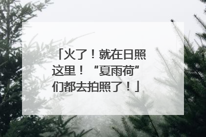 火了！就在日照这里！“夏雨荷”们都去拍照了！