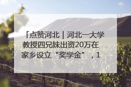 点赞河北｜河北一大学教授四兄妹出资20万在家乡设立“奖学金”，13年为320名农村学生种下“希望的种子”