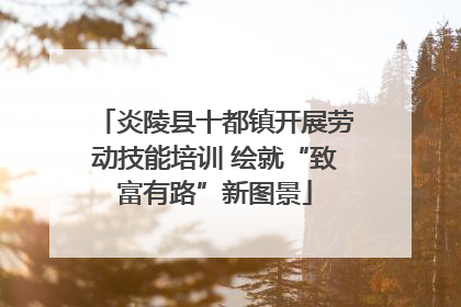 炎陵县十都镇开展劳动技能培训 绘就“致富有路”新图景