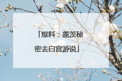 爆料：盖茨秘密去白宫游说